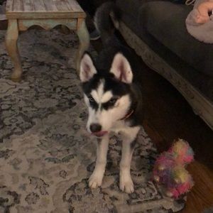 Meet your Posher, Ashlie